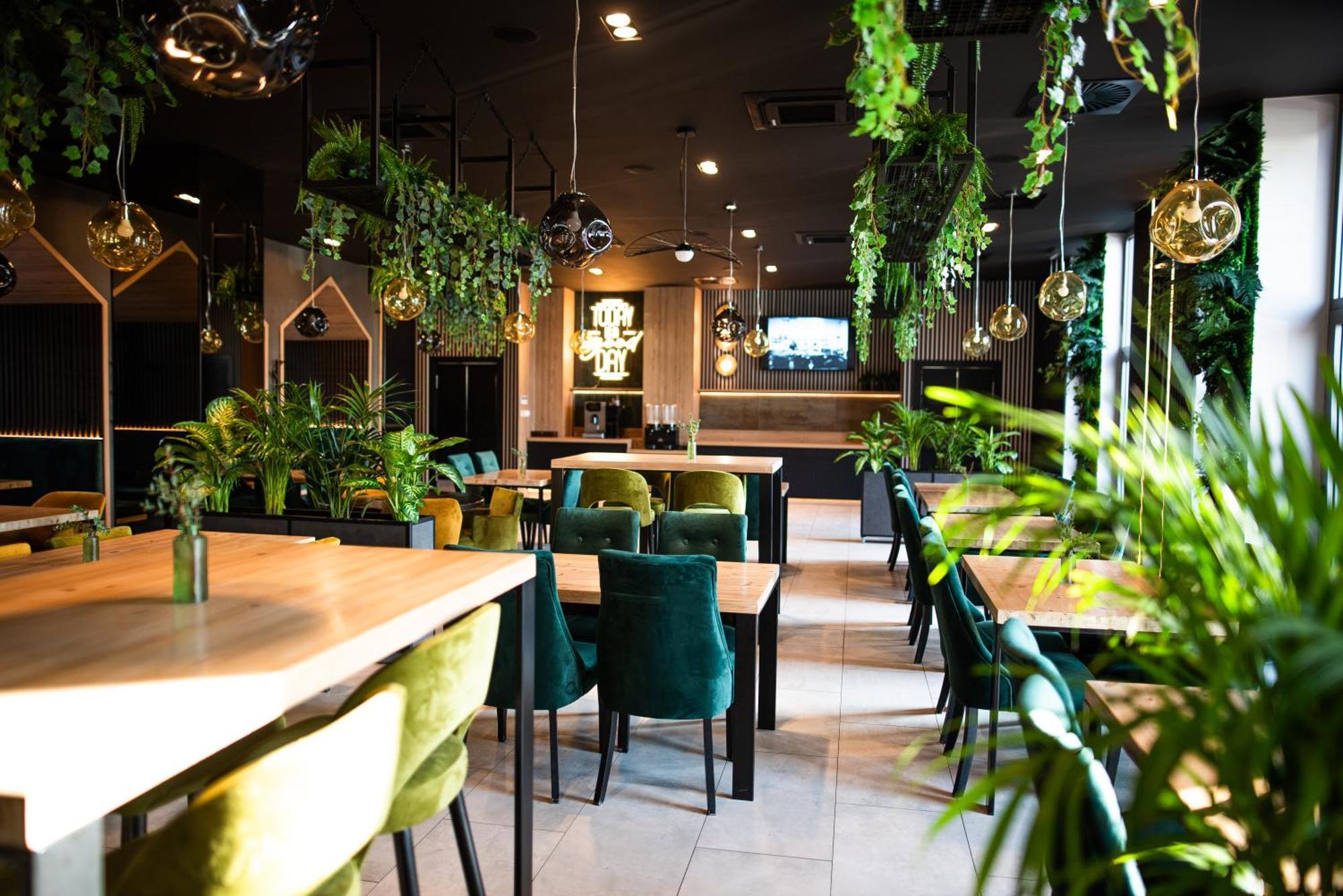 מלון Ibis Styles Grudziądz מראה חיצוני תמונה
